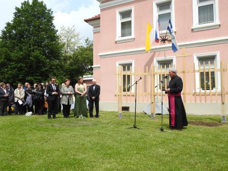 Slavnostno zasadili cepljenko najstarejše vinske trte na svetu 31